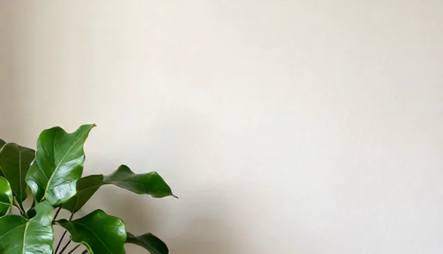 企业黄页推广服务:应用场景分析与优化建议